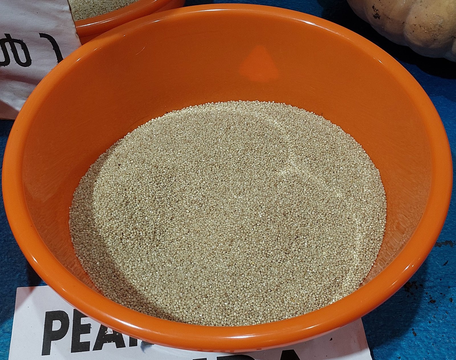 Seeds & Planting